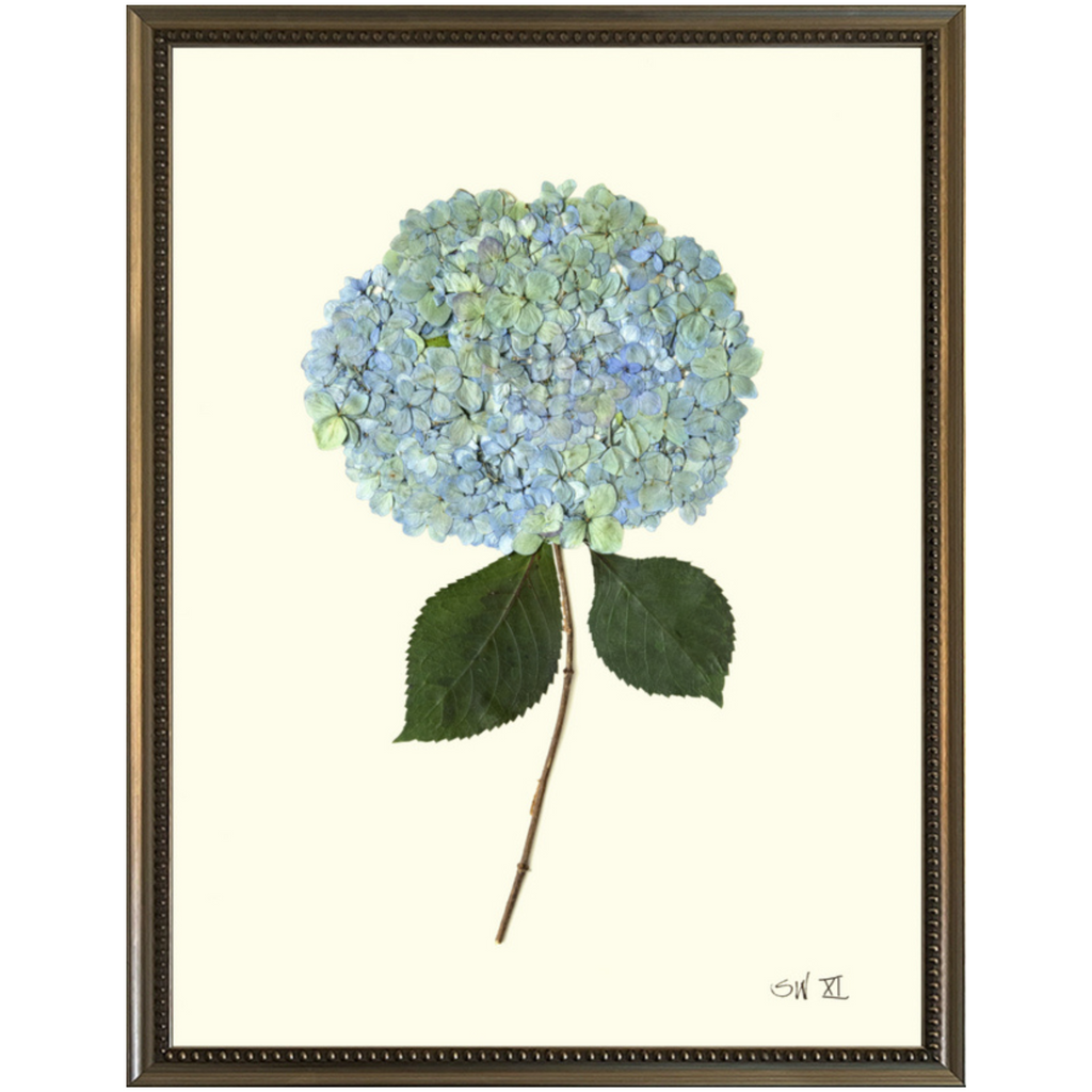 Hydrangea XI-Silver Bead-Sea Green Designs