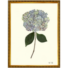 Hydrangea XII-GoldBead-Sea Green Designs