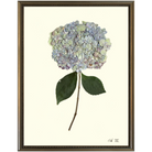Hydrangea XII-Silver Bead-Sea Green Designs