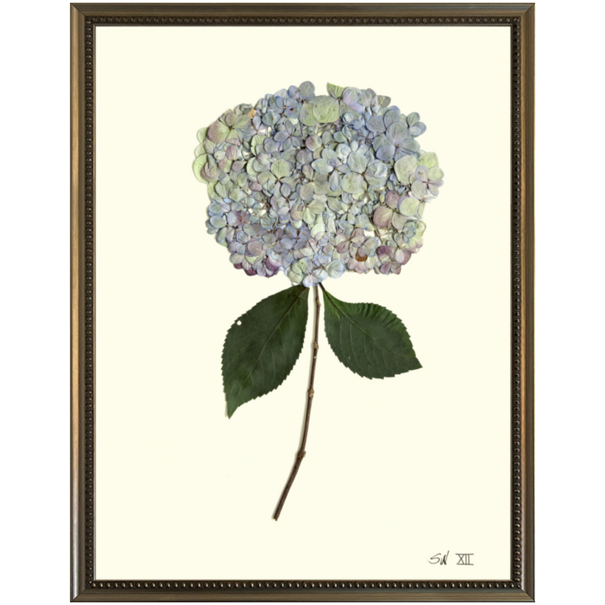Hydrangea XII-Silver Bead-Sea Green Designs
