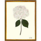 Hydrangea XIII-Gold Bead-Sea Green Designs