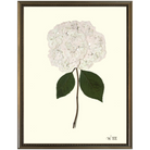 Hydrangea XIII-Silver Bead-Sea Green Designs