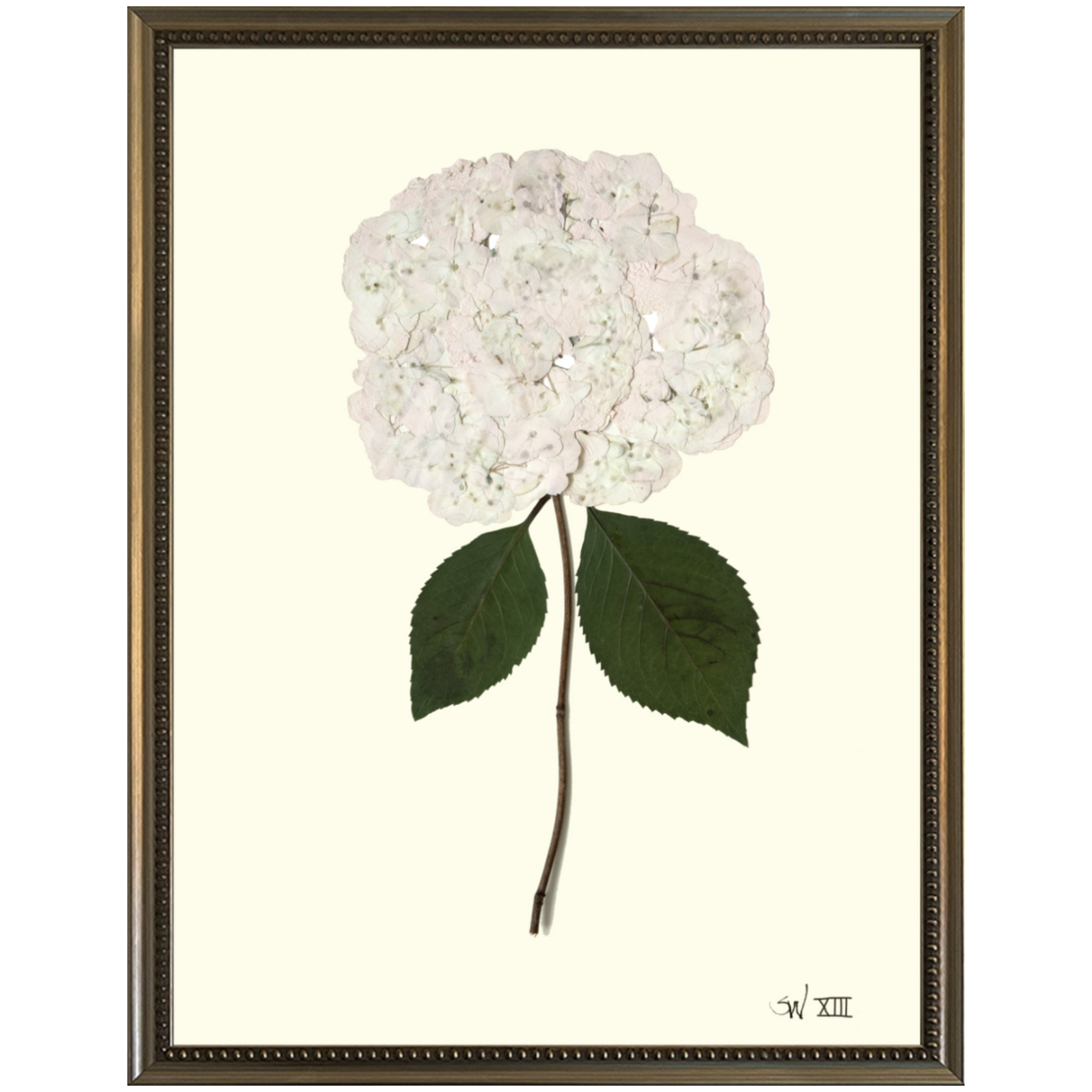Hydrangea XIII-Silver Bead-Sea Green Designs
