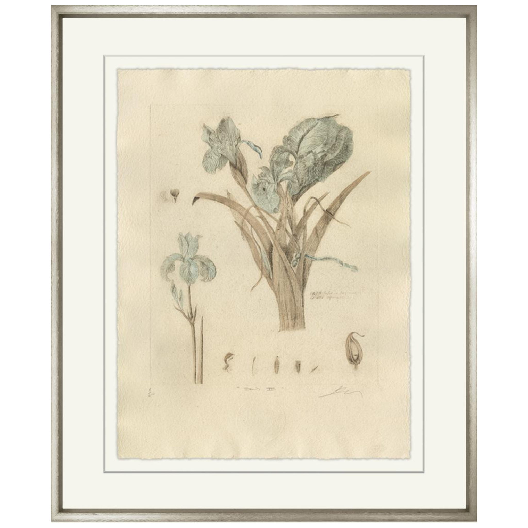 Iris II-Sea Green Designs