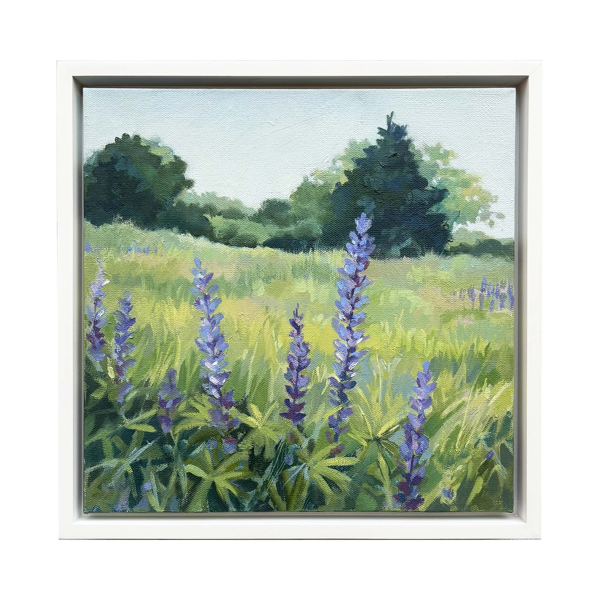 Lupine Field - Sea Green Designs