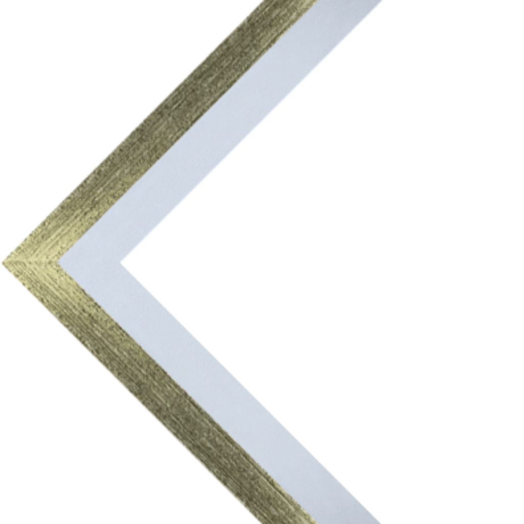 Corals Collection - Sea Green Designs