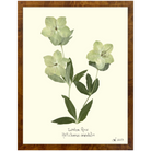 Lenton Rose Burlewood-Sea Green Design