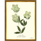 Lenton Rose Gold Bead-Sea Green Design