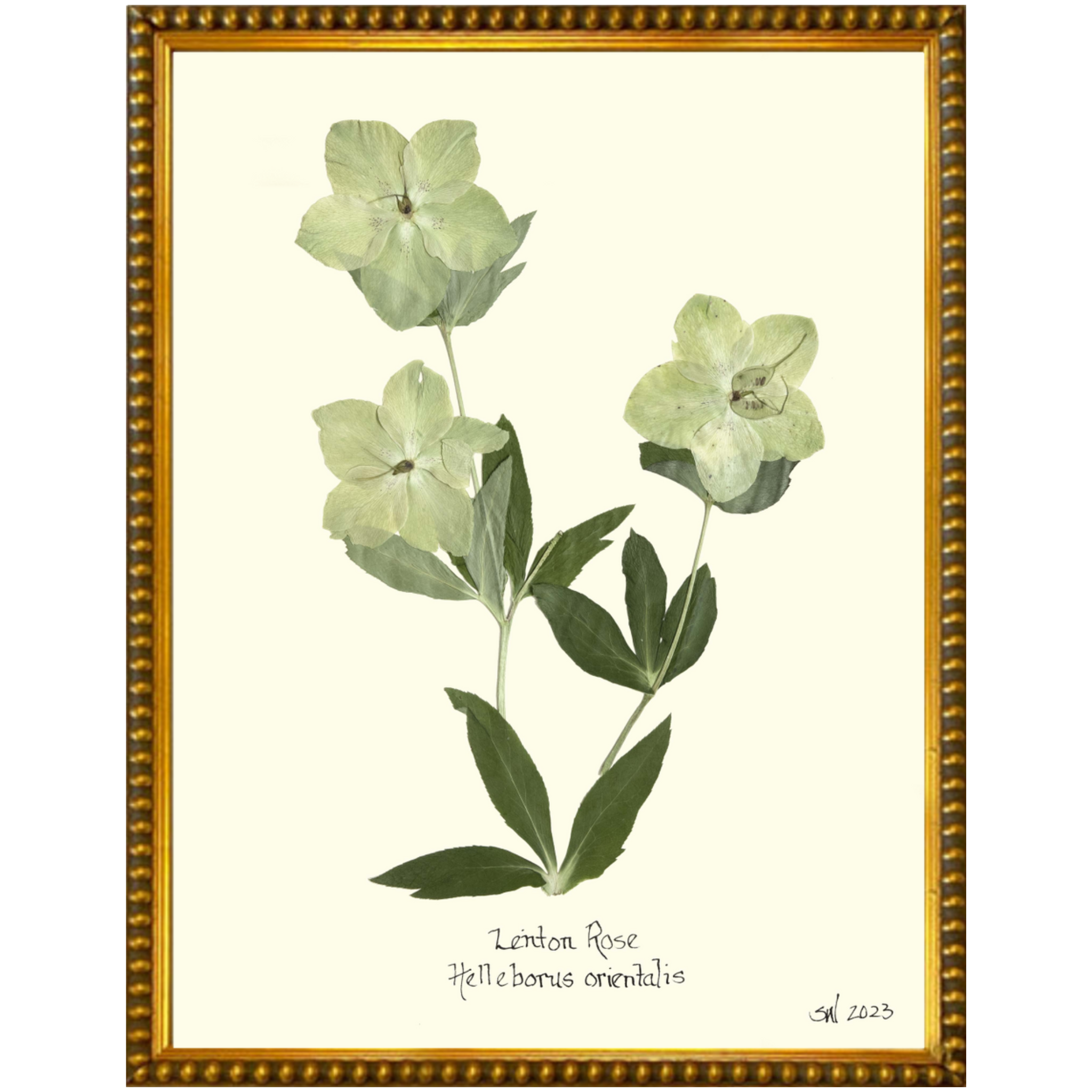 Lenton Rose Gold Bead-Sea Green Design