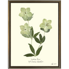 Lenton Rose Silver Bead-Sea Green Design