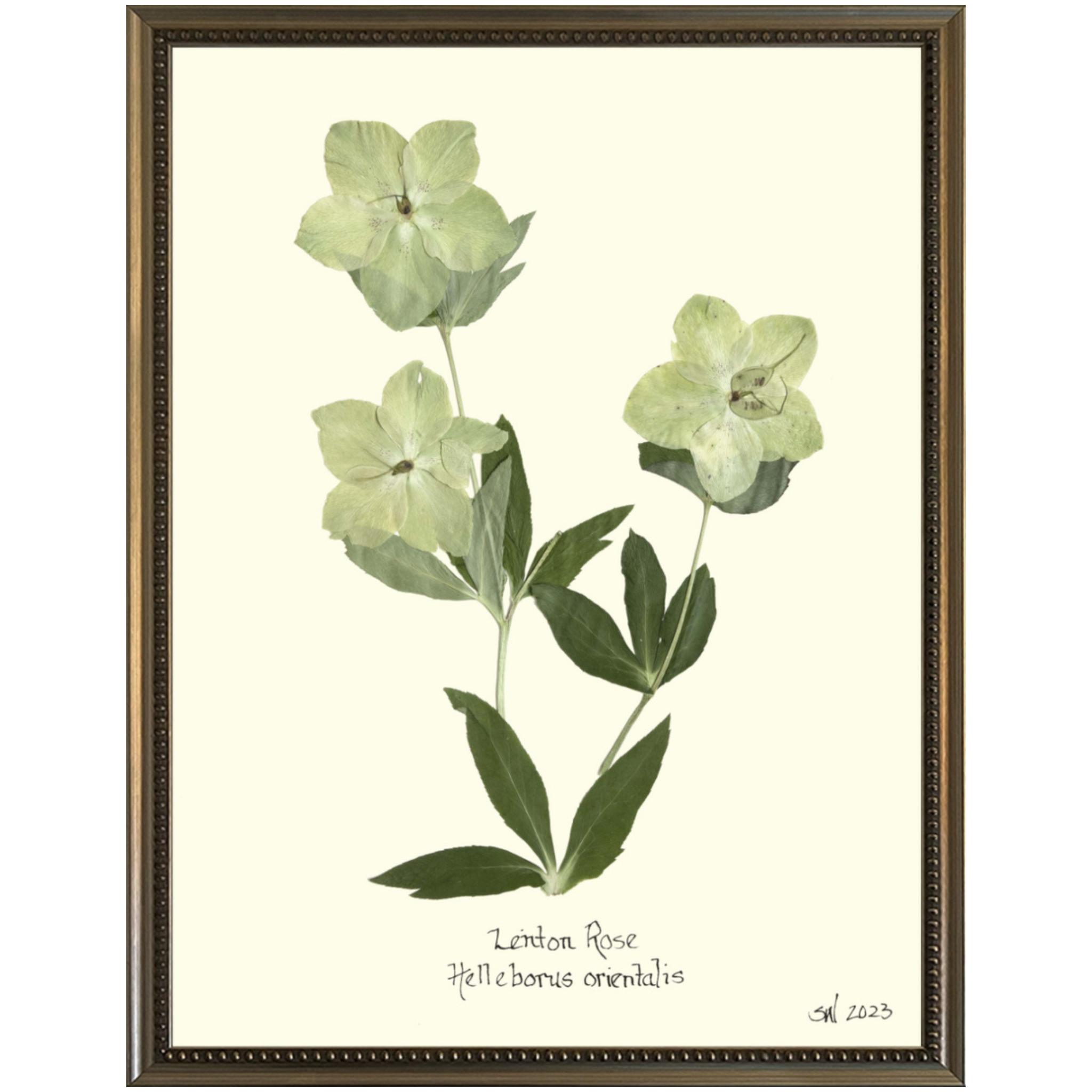 Lenton Rose Silver Bead-Sea Green Design