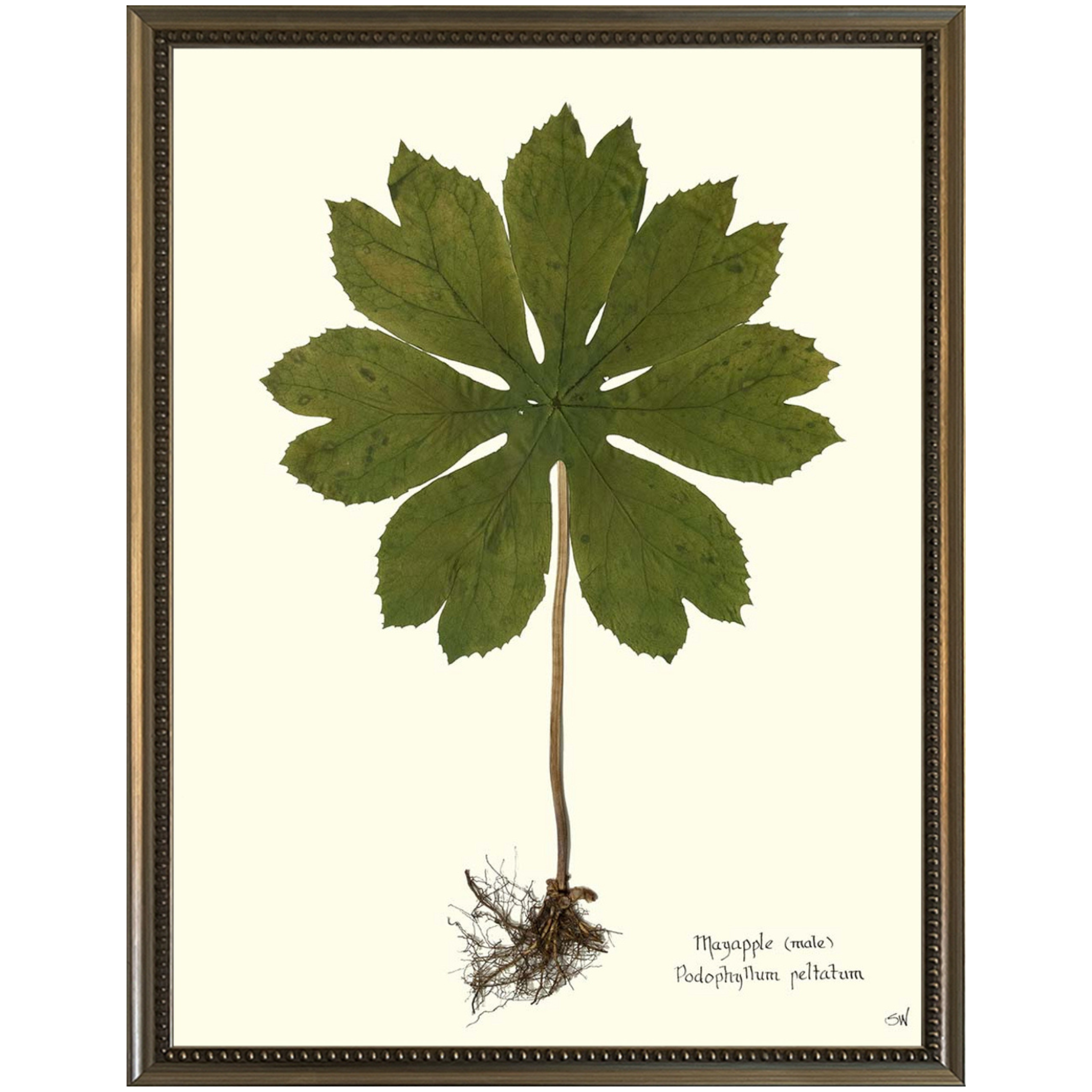 Mayapple II Silver Bead-SeaGreenDesign