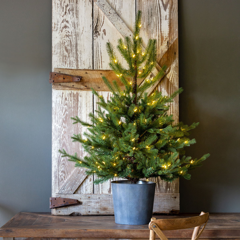 Potted Porch Fir Tree - Sea Green Designs