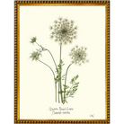 Queen Anne's Lace-Gold Bead-Sea Green Designs