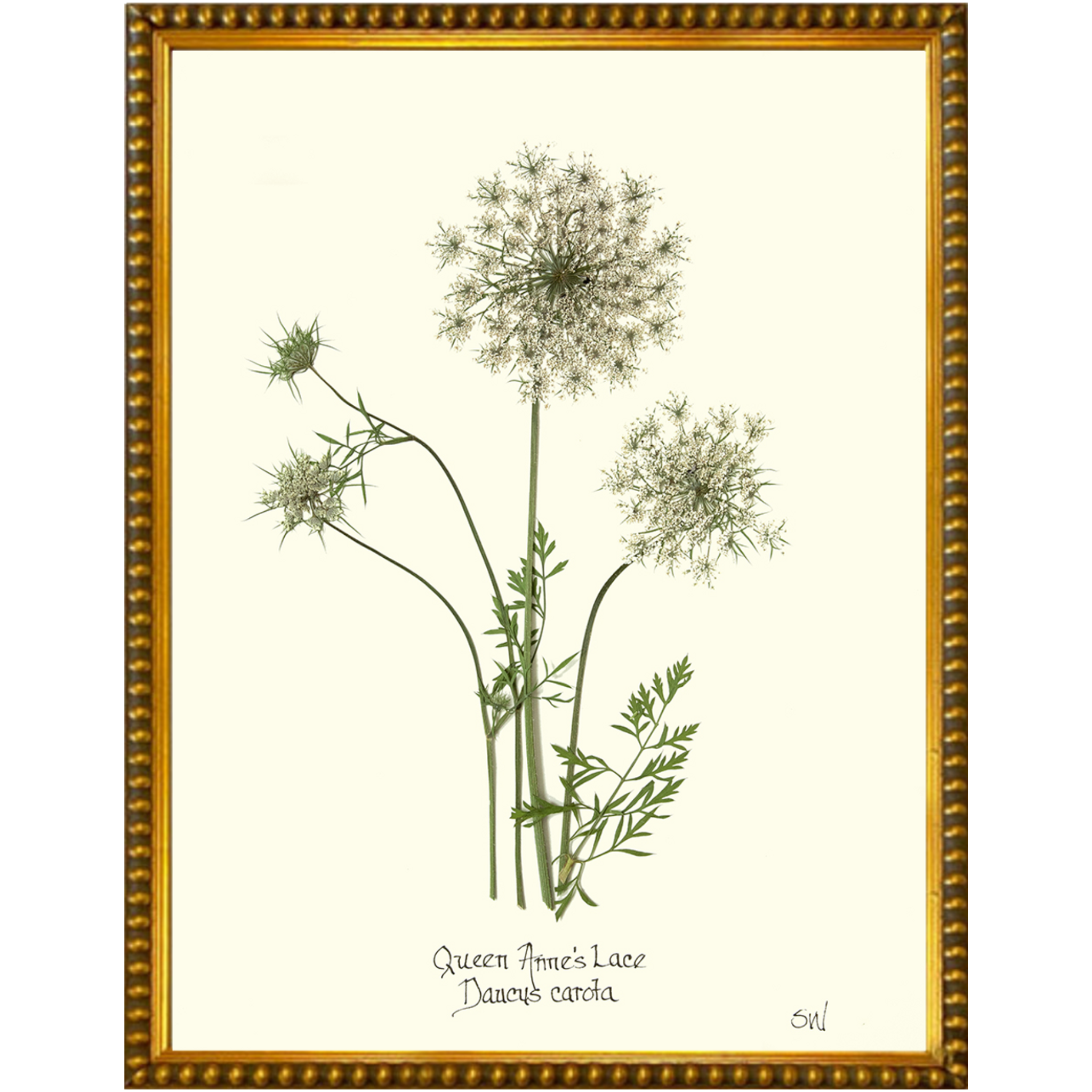 Queen Anne's Lace-Gold Bead-Sea Green Designs