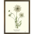 Queen Anne's Lace-Silver Bead-Sea Green Designs