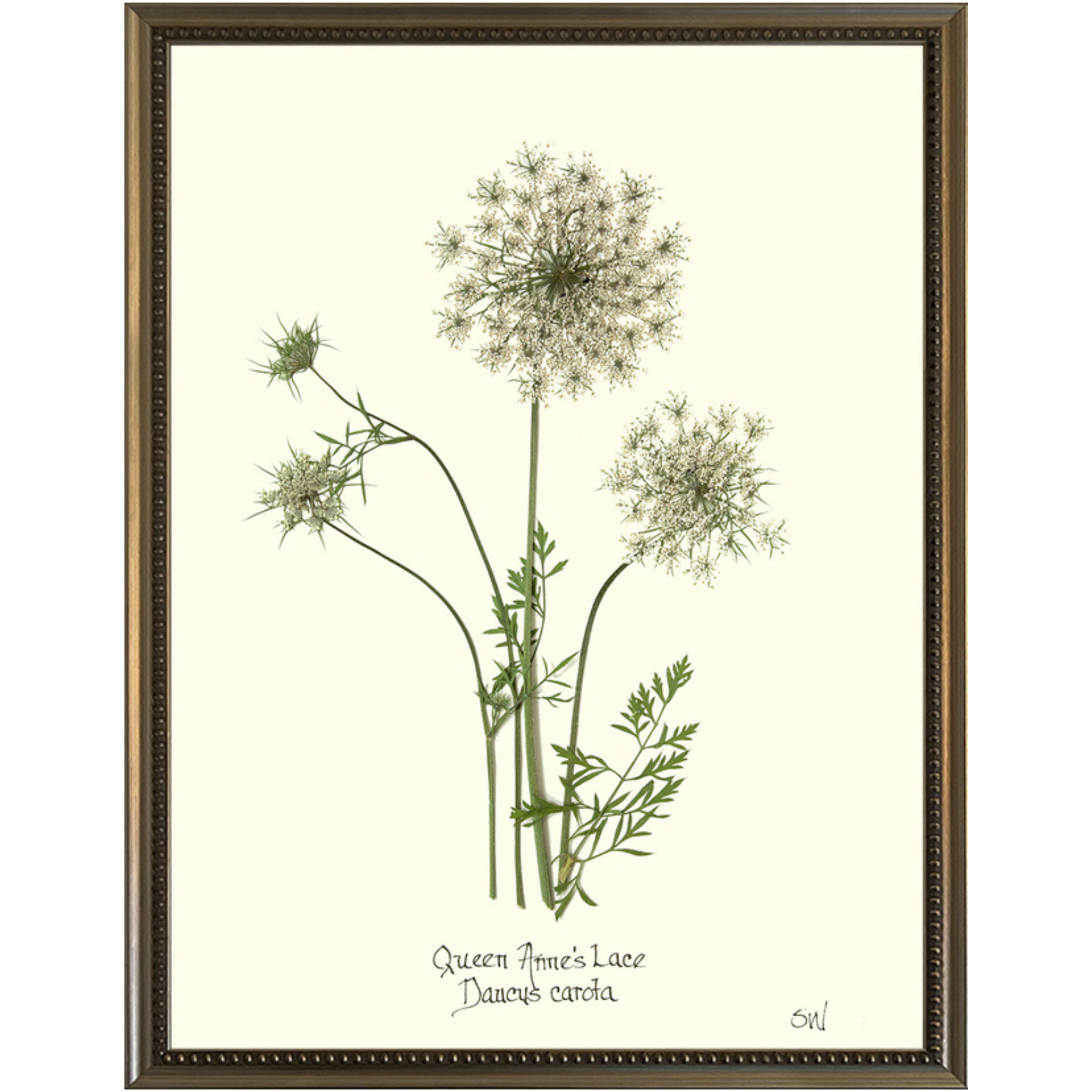 Queen Anne's Lace-Silver Bead-Sea Green Designs