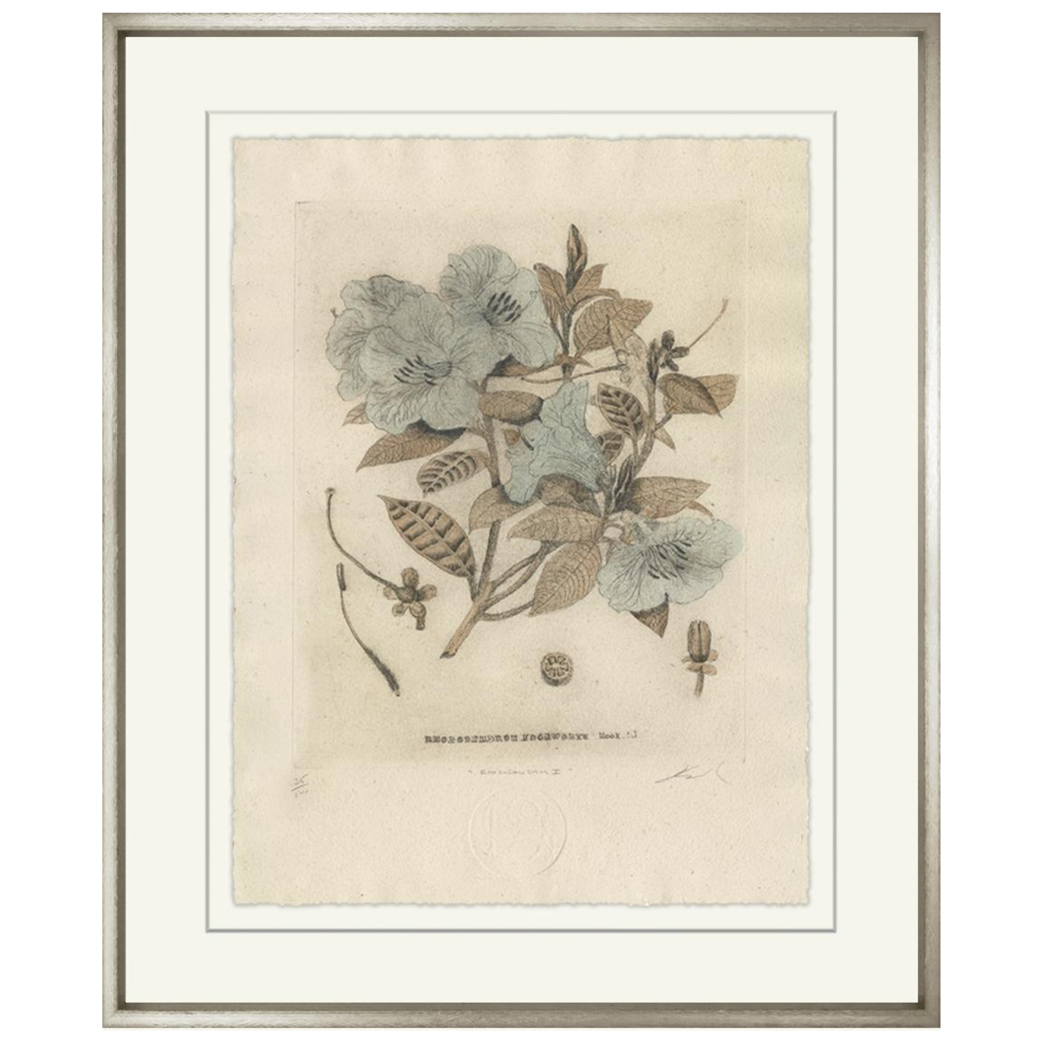 Rhododendrun I - Sea Green Designs