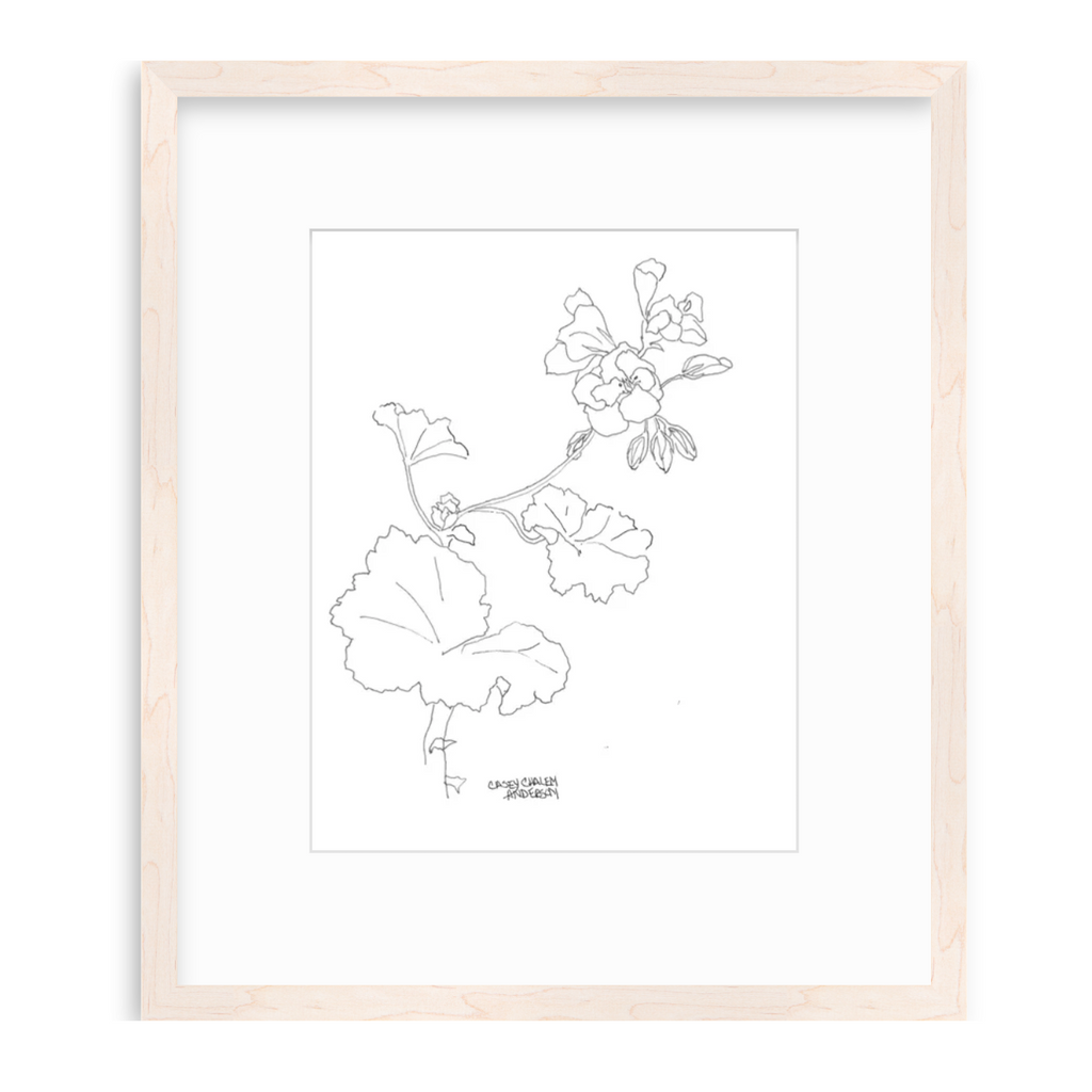 Botanical Line Drawings in Maple Frame - Sea Green Designs
