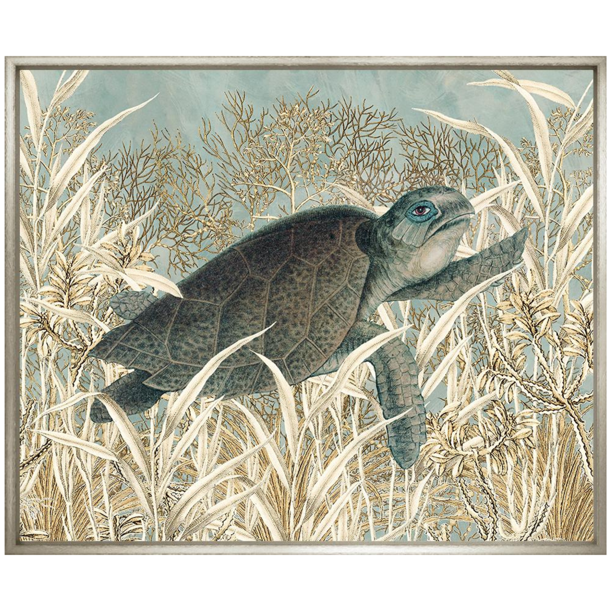 Turtle I-Sea Green Designs