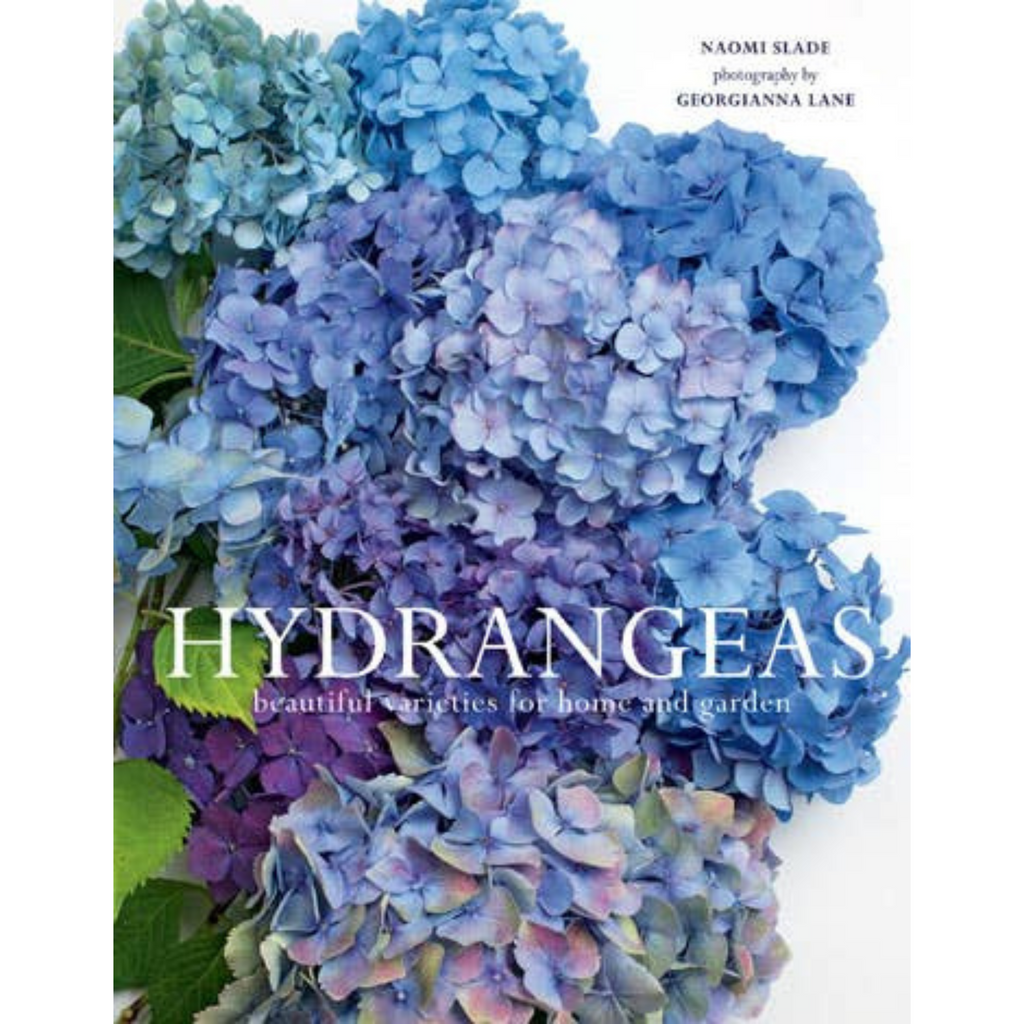Hydrangeas: Beautiful Varieties for Home & Garden - Sea GreenDesigns