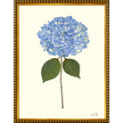 Hydrangea III - Sea Green Designs