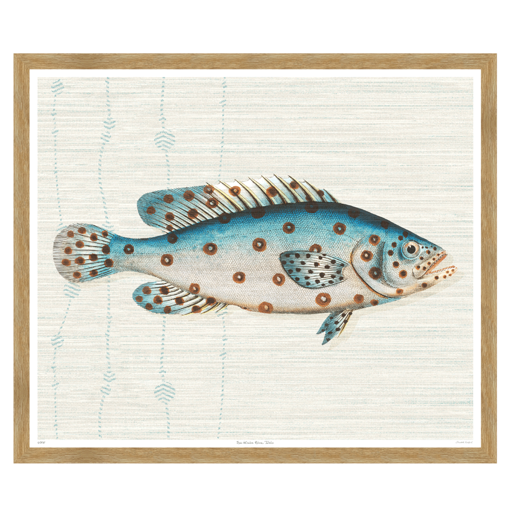 St Kitts Blue Fish - Sea Green Designs