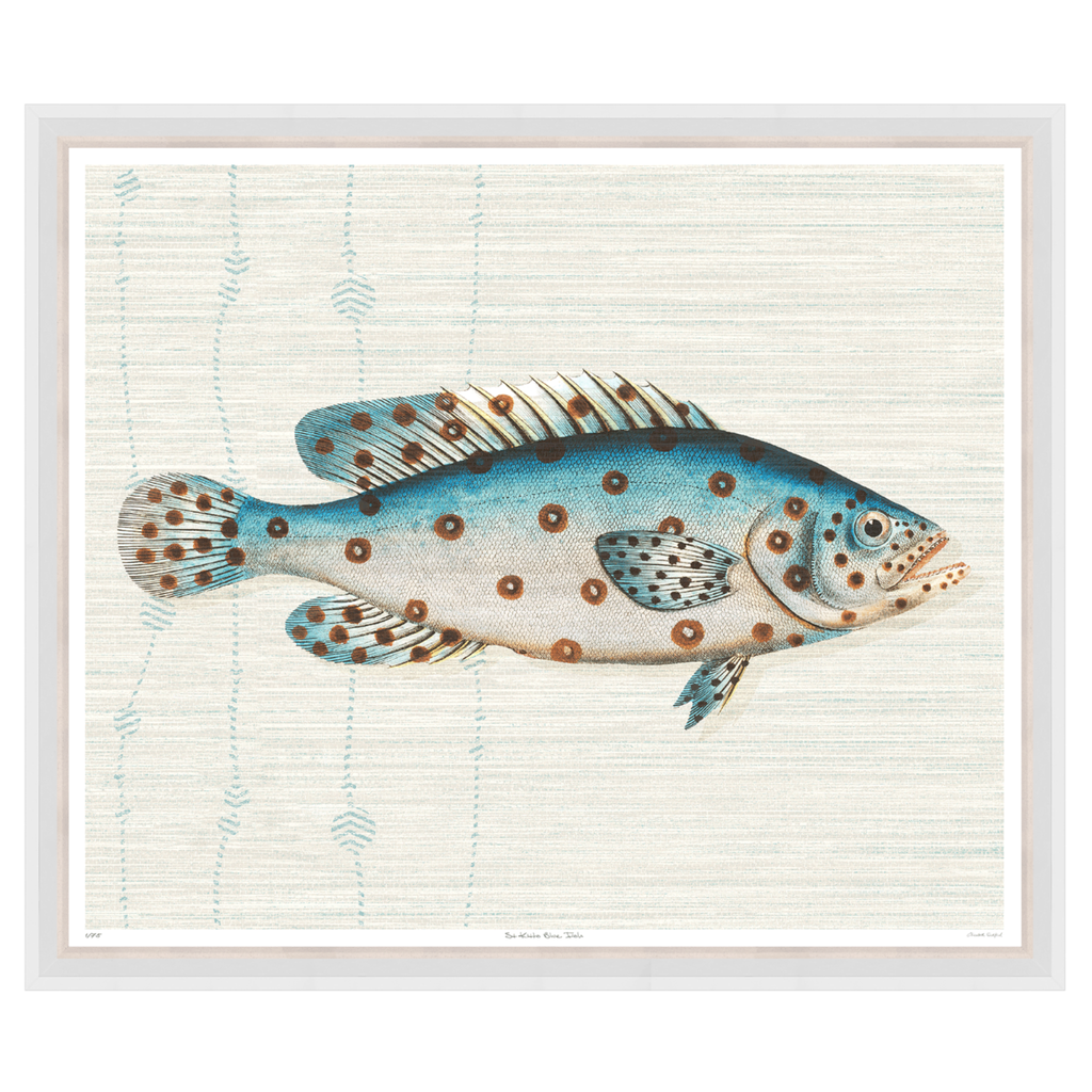 St Kitts Blue Fish - Sea Green Designs