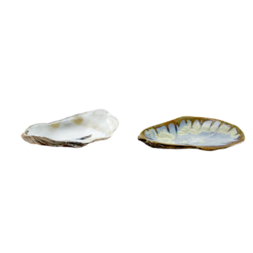 Damariscotta Oyster Dish in Abalone and Tortoise-SeaGreenDesign