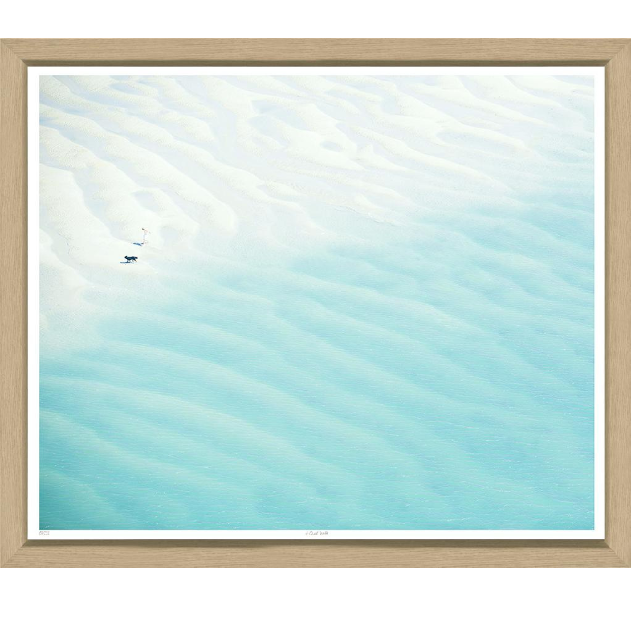 A Quiet Walk | Image #1 - Sea Green Designs