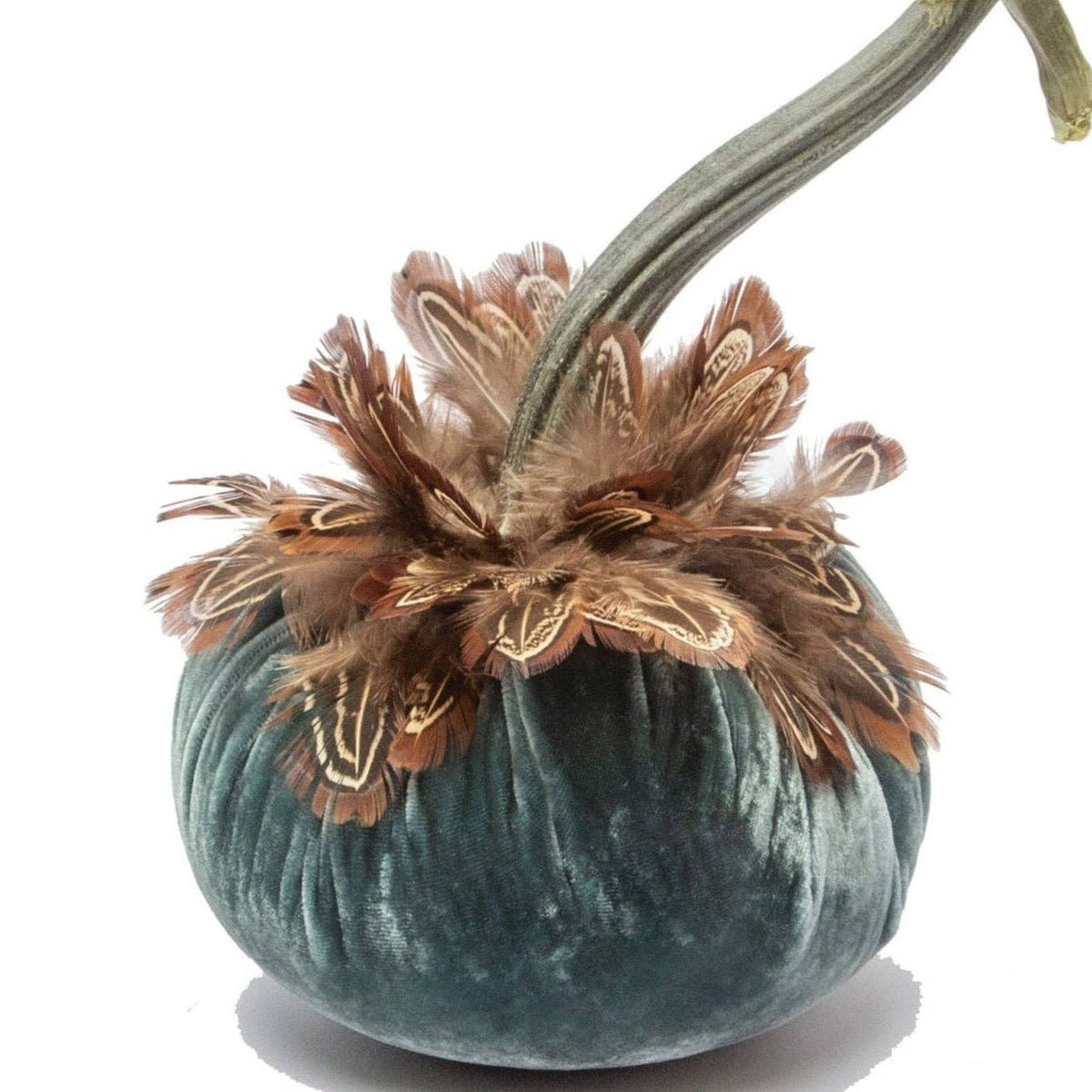 Wedgewood Silk Velvet Pumpkin with Pheasant Feather Collar - Sea Green Designs