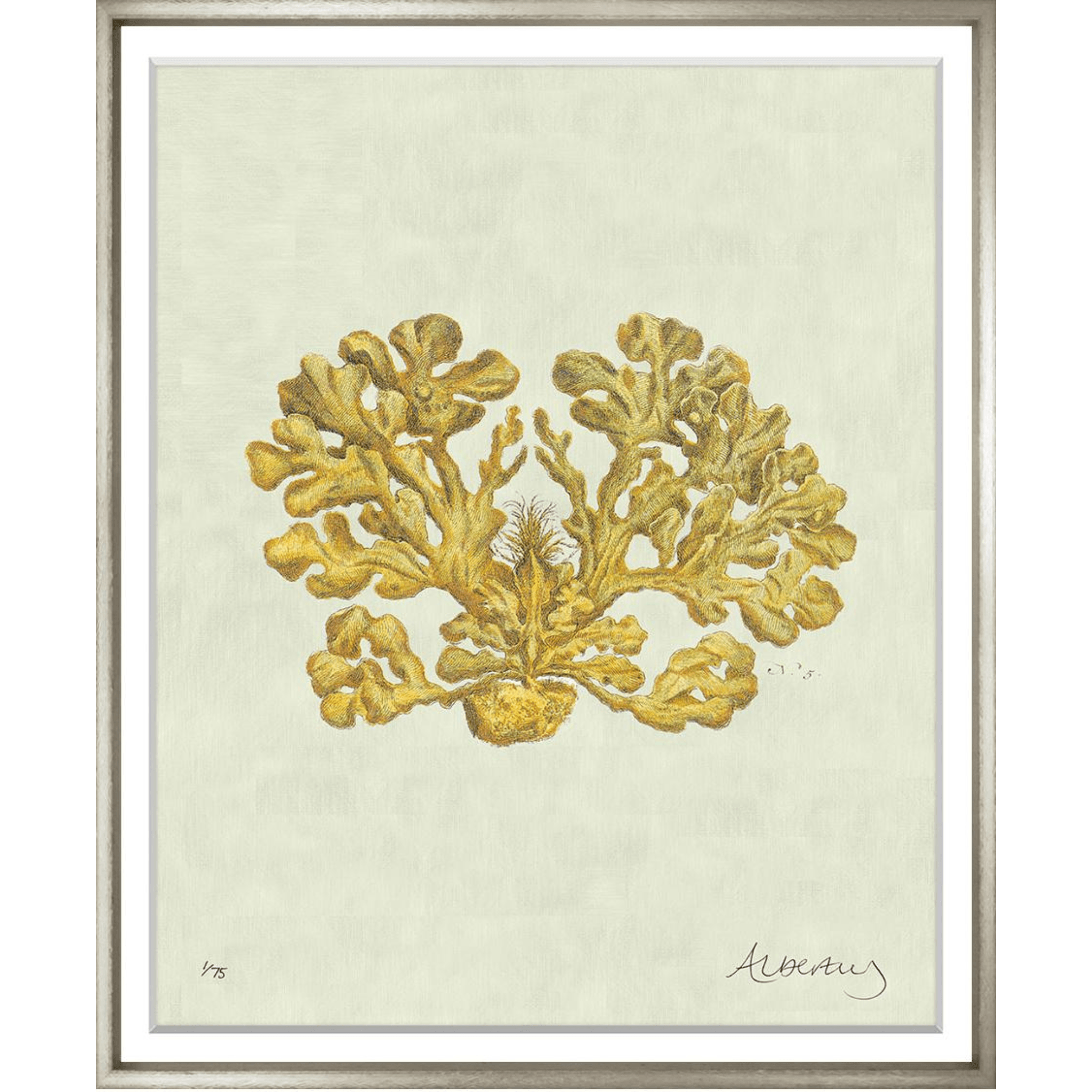 Albertus Coral Collection - Sea Green Designs