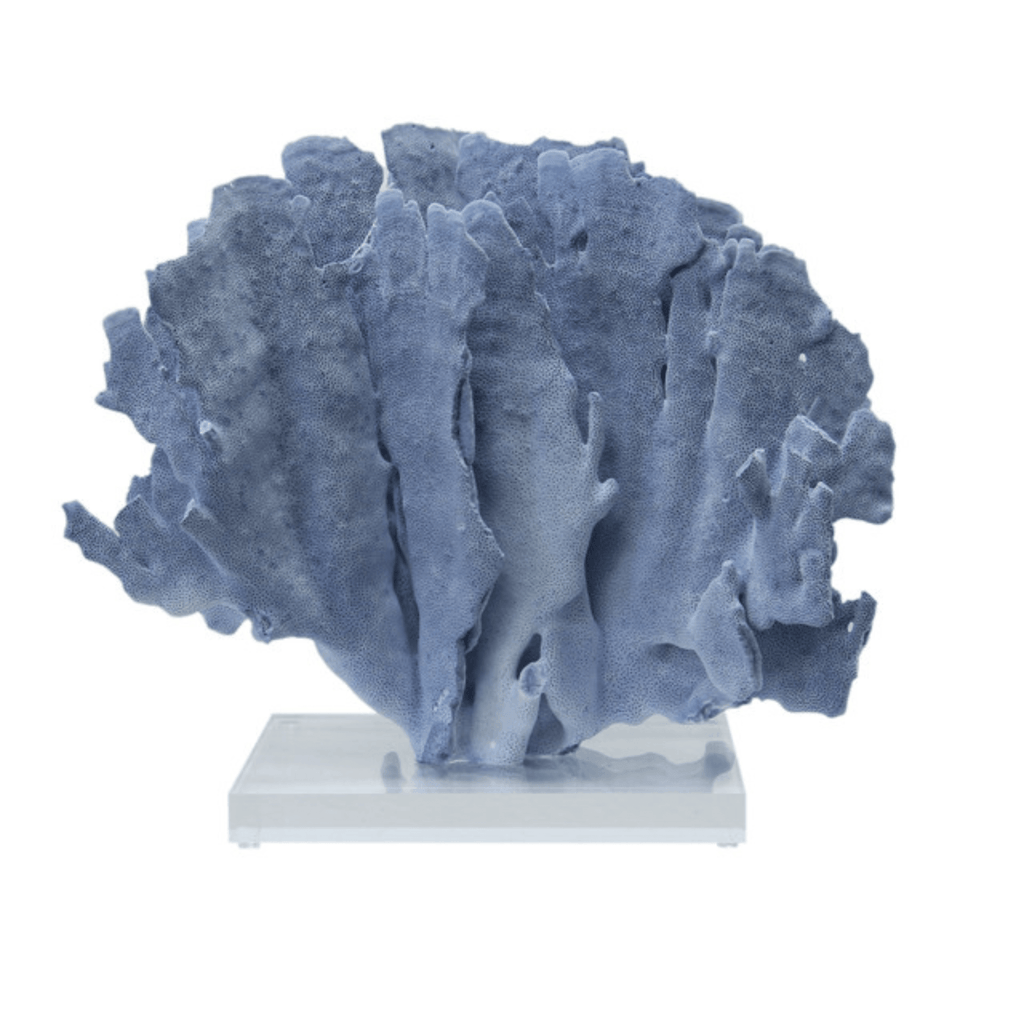 Blue Coral on Acrylic Base - Sea Green Designs