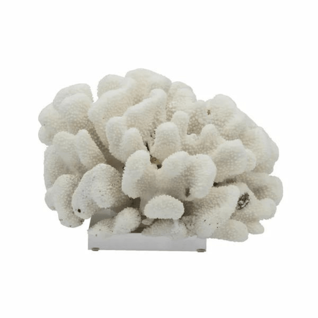 Cauliflower Coral On Acrylic Base - Sea Green Designs