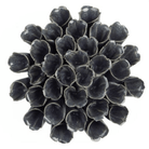 Coral Ceramic Flower: Blue Polyp - Sea Green Designs