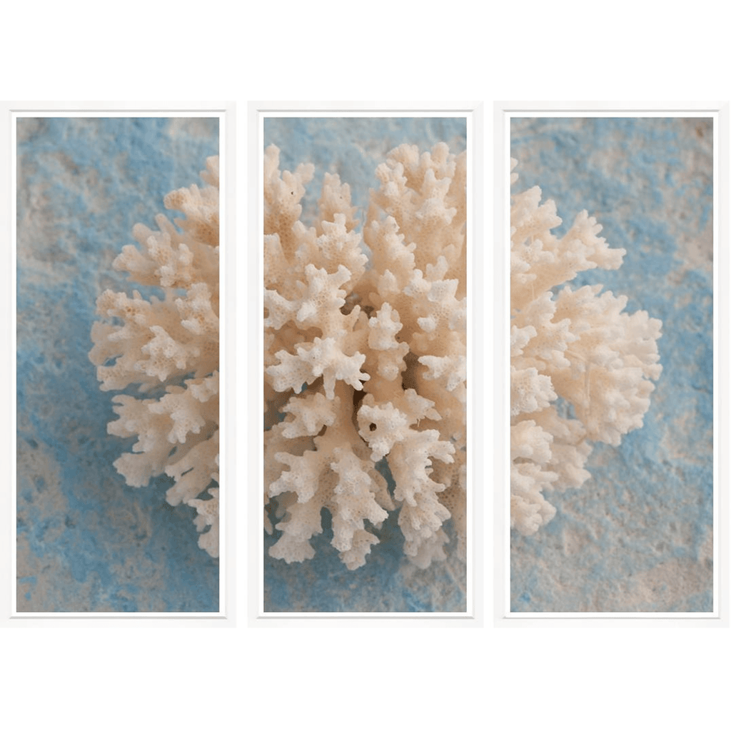 Coral on Blue - Sea Green Designs