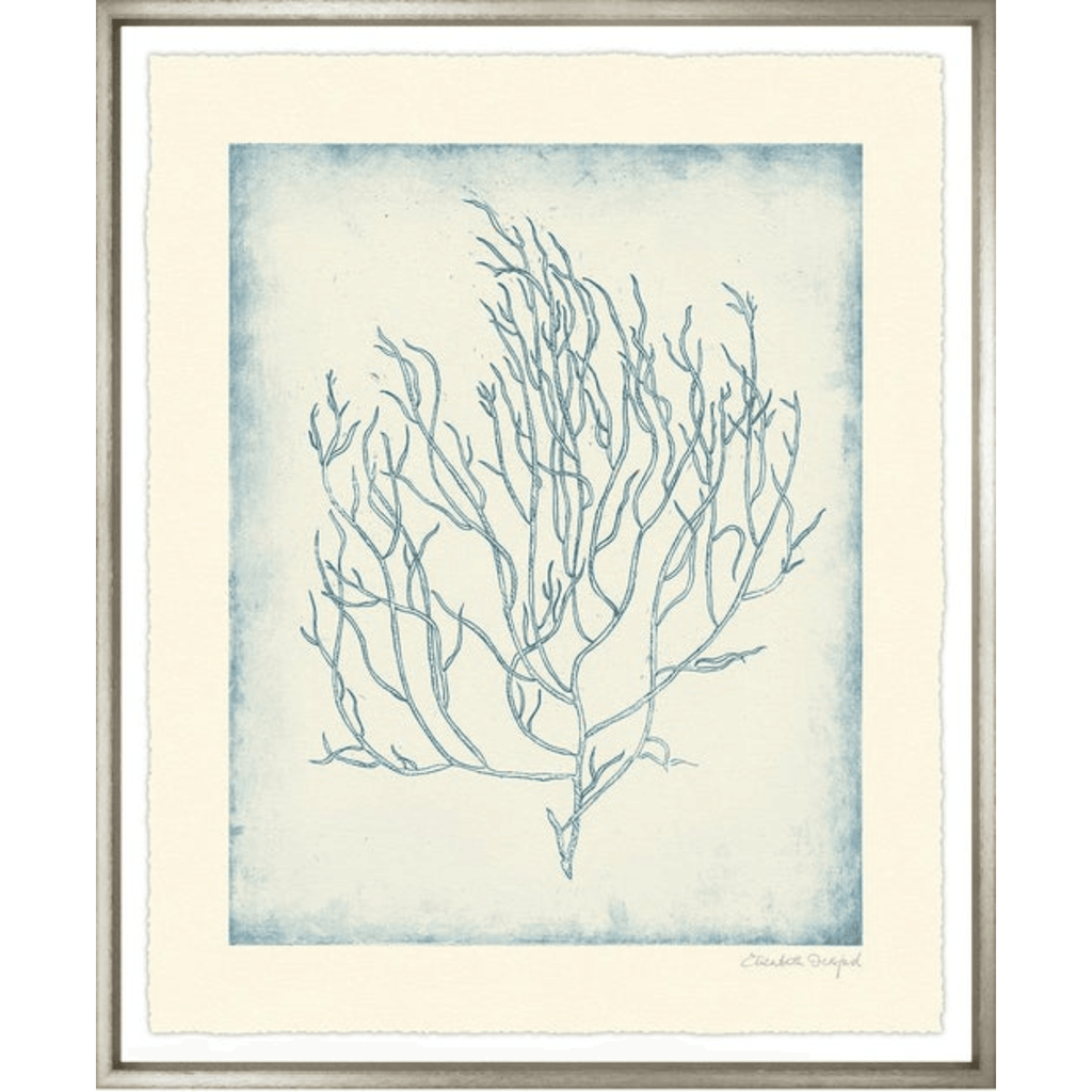 Corals II - Sea Green Designs