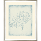 Corals II - Sea Green Designs