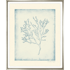 Corals II - Sea Green Designs