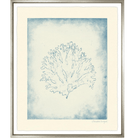 Corals II - Sea Green Designs