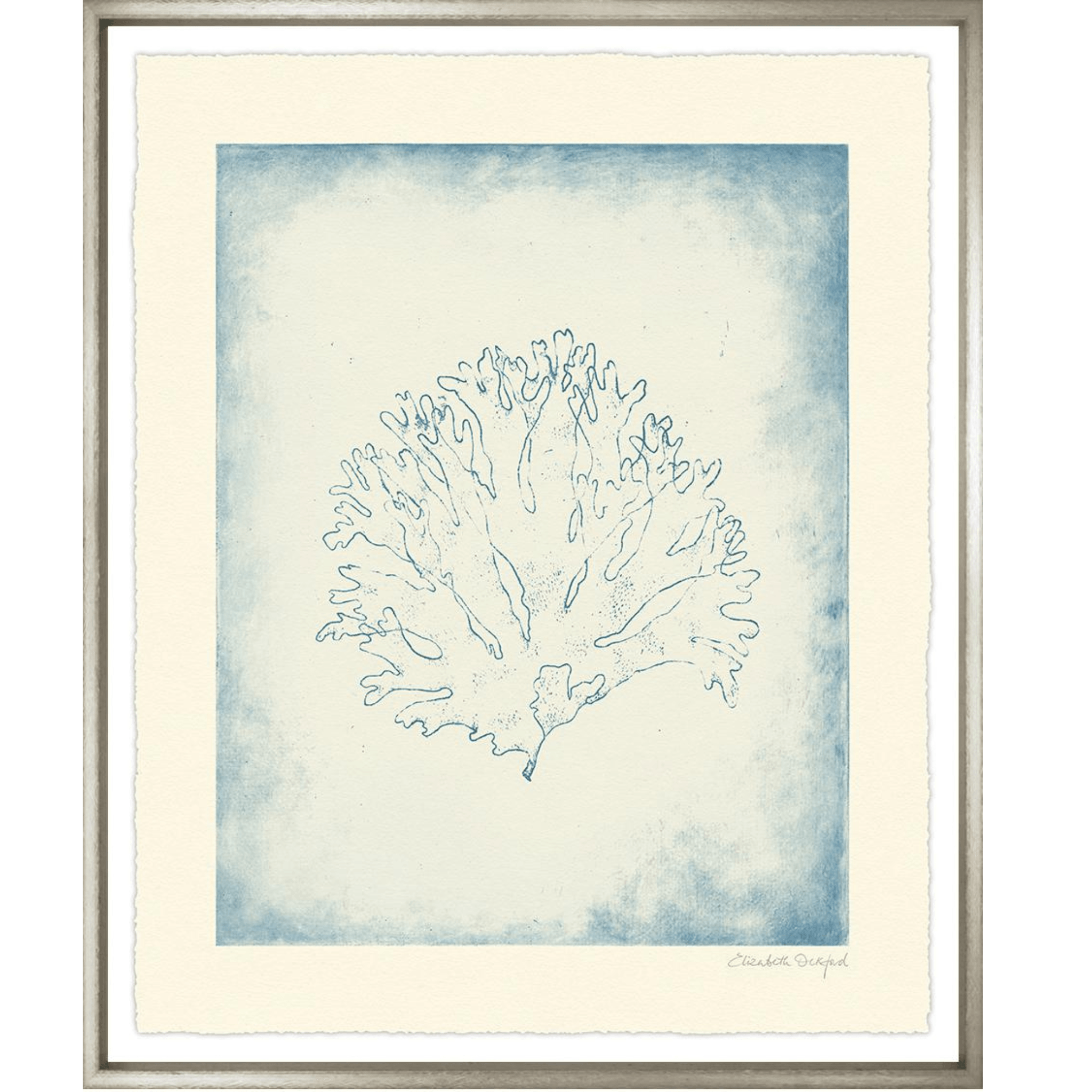 Corals II - Sea Green Designs