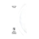 Dinner Plate, Set of 6
