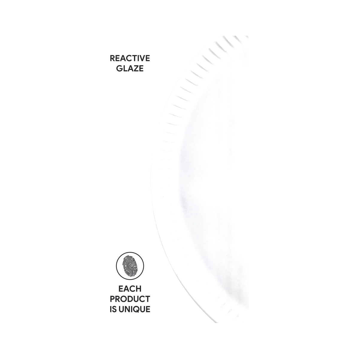 Dinner Plate, Set of 6