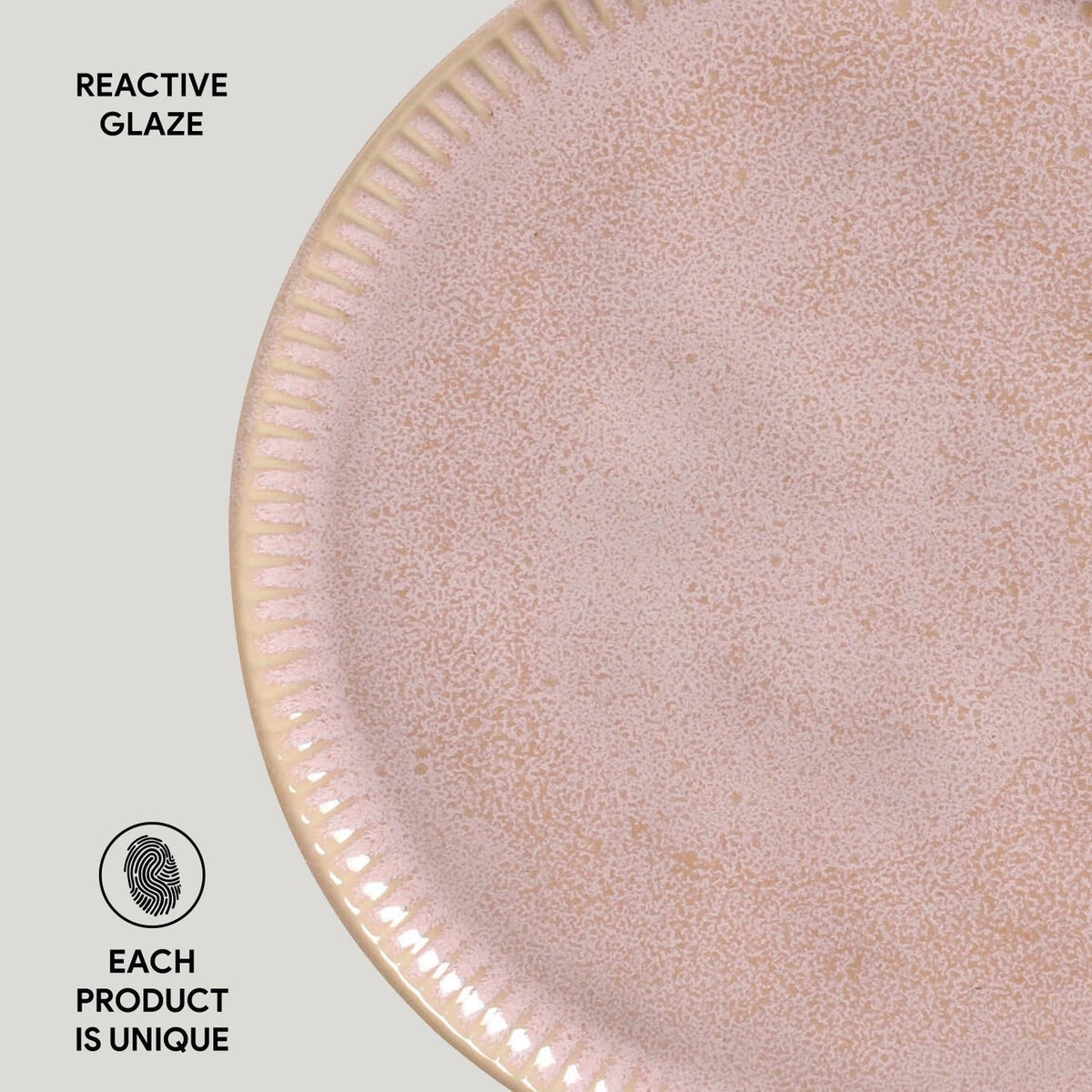 Dinner Plate, Set of 6