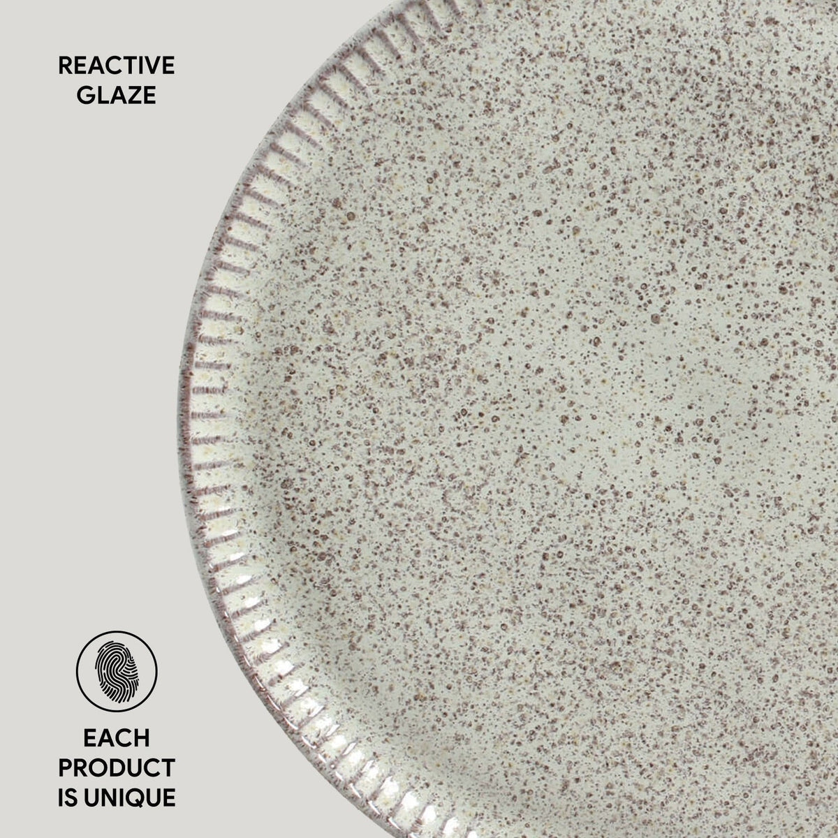 Dinner Plate, Set of 6