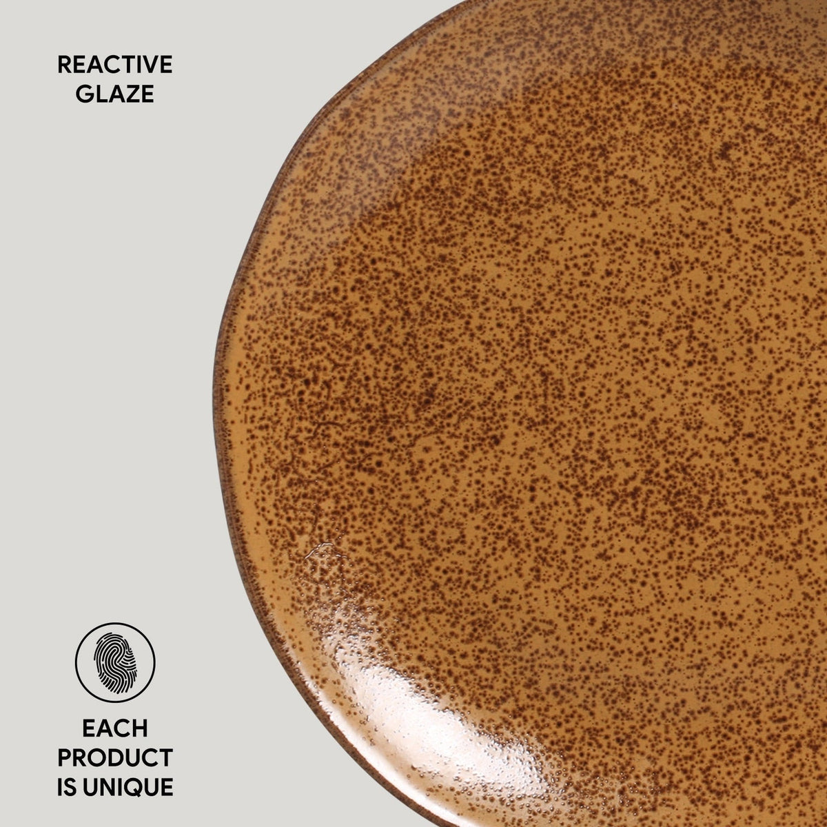 Dinner Plate, Set of 6