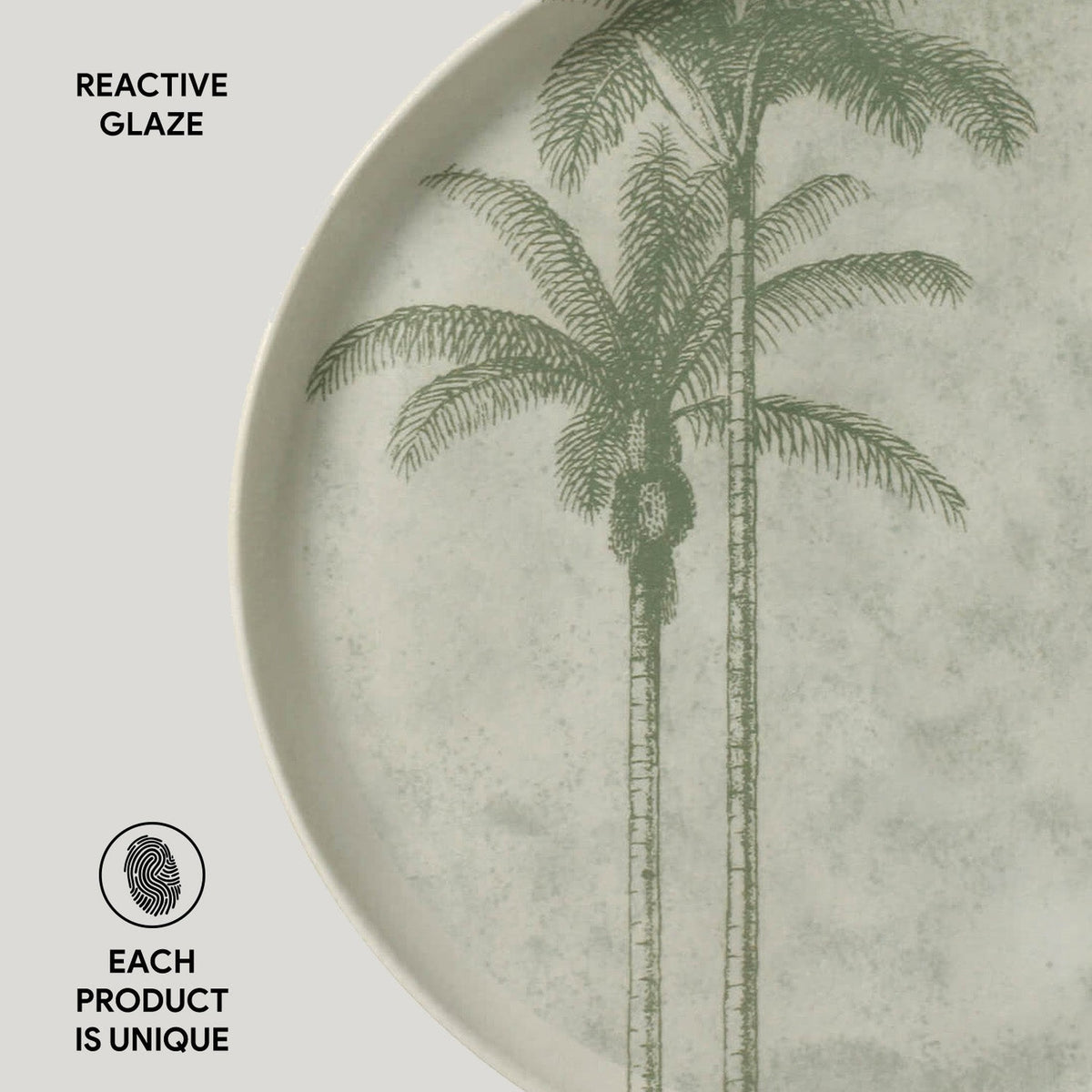 Dinner Plate, Set of 6