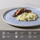 Dinner Plate, Set of 6