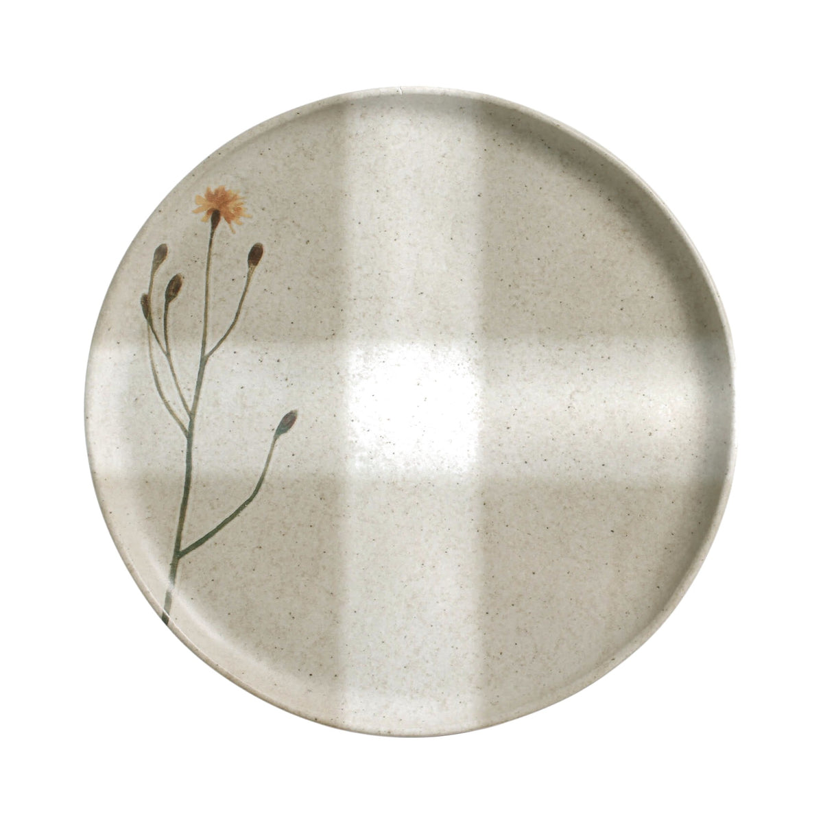 Dinner Plate, Set of 6