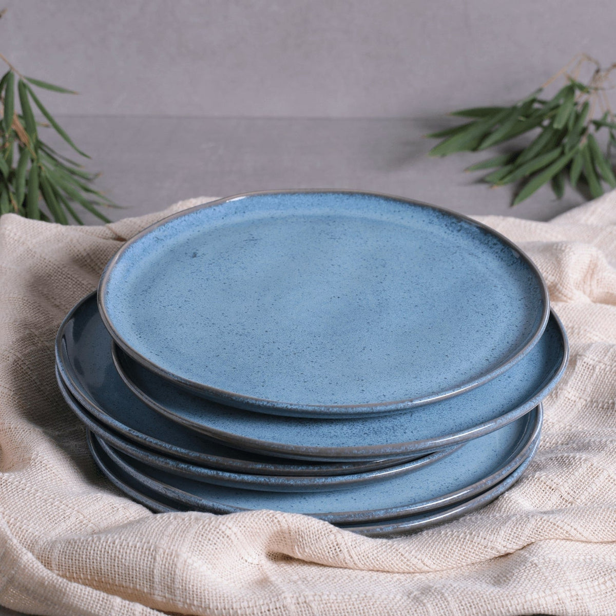 Dinner Plate, Set of 6